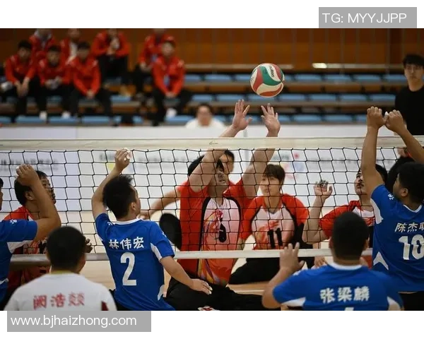 北京排球队选拔赛背后的拼搏故事与成长历程揭秘