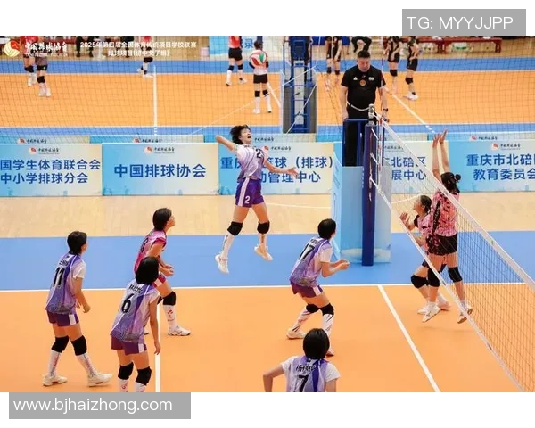 杭州排球队与上海排球队赛后战术分析与复盘探讨